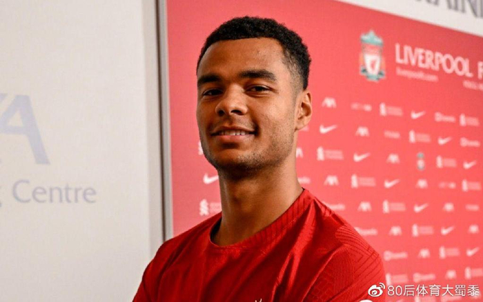 他职业生涯 他职业生涯