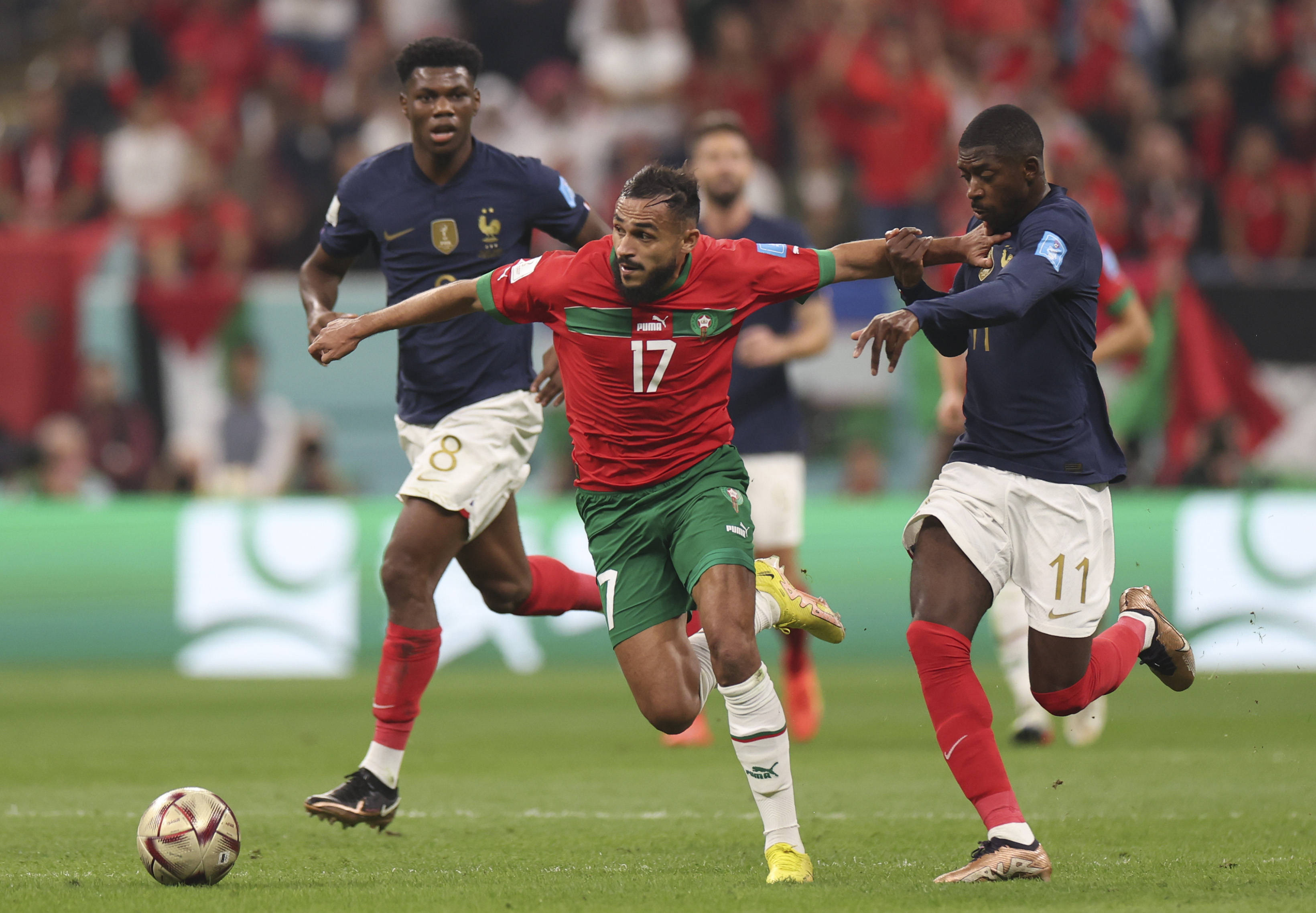 他不仅拥有 他不仅拥有